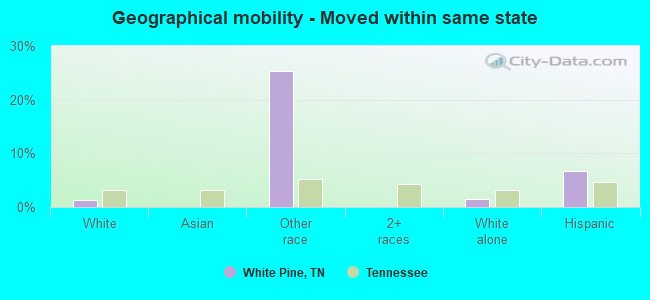 Geographical mobility -  Moved within same state