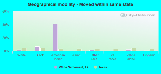 Geographical mobility -  Moved within same state