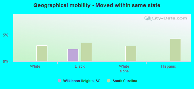 Geographical mobility -  Moved within same state