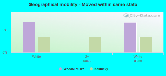 Geographical mobility -  Moved within same state