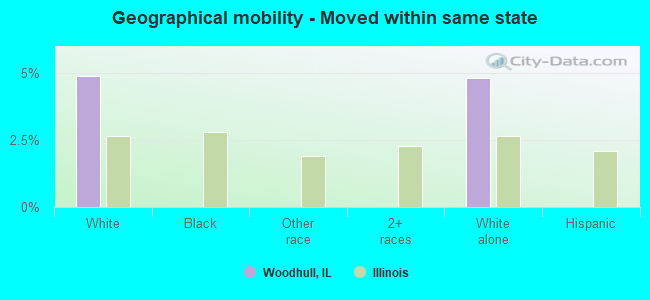 Geographical mobility -  Moved within same state