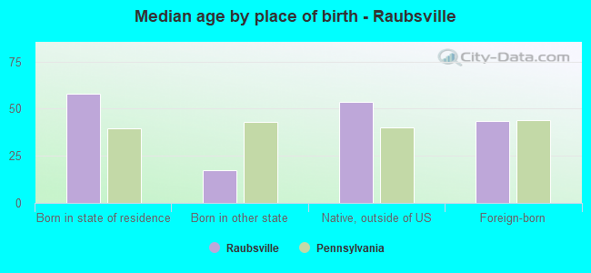 Median age by place of birth - Raubsville