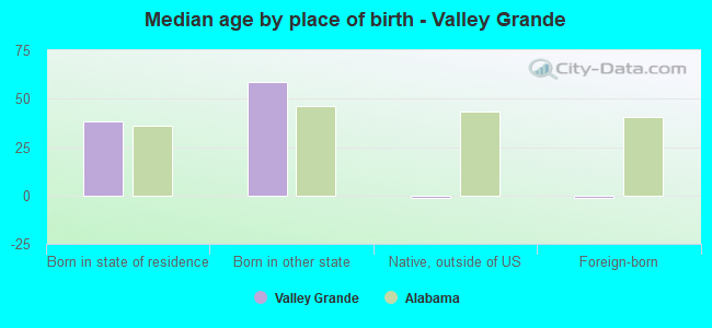 Median age by place of birth - Valley Grande