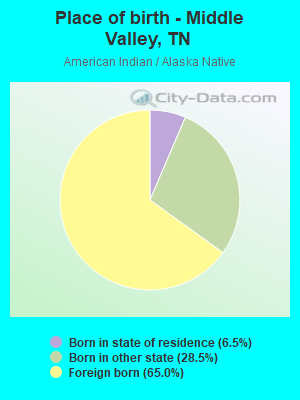 Place of birth - Middle Valley, TN