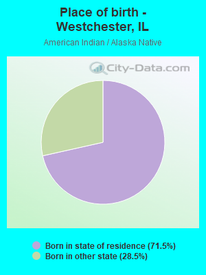 Place of birth - Westchester, IL