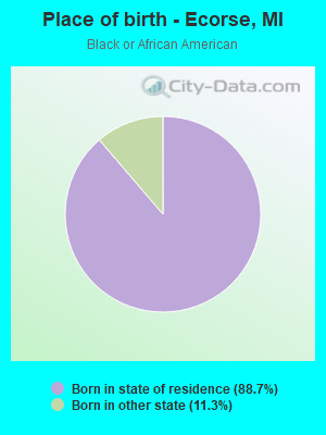 Place of birth - Ecorse, MI