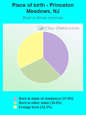 Place of birth - Princeton Meadows, NJ