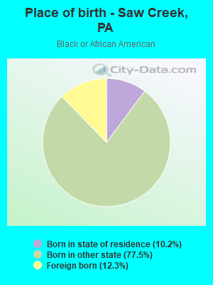 Place of birth - Saw Creek, PA