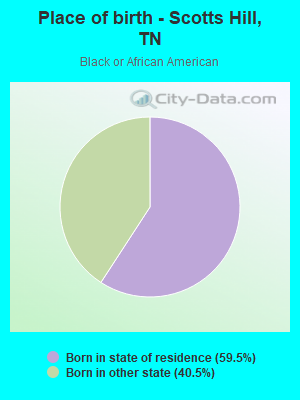 Place of birth - Scotts Hill, TN