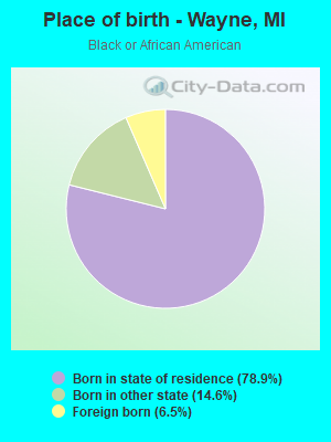 Place of birth - Wayne, MI