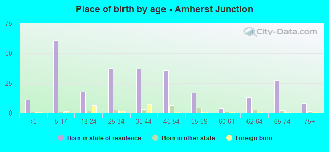 Place of birth by age -  Amherst Junction