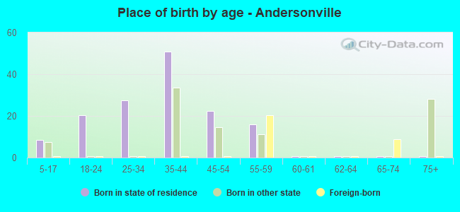 Place of birth by age -  Andersonville