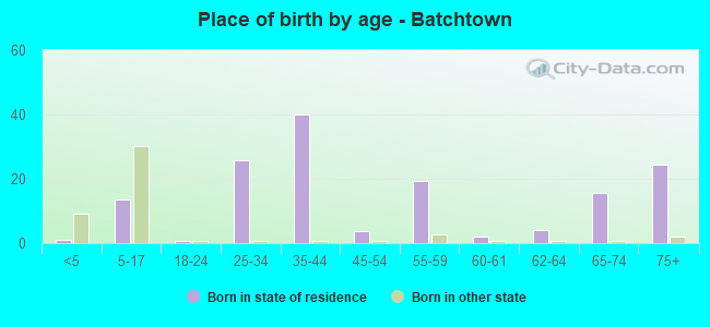 Place of birth by age -  Batchtown