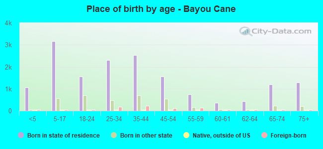 Place of birth by age -  Bayou Cane