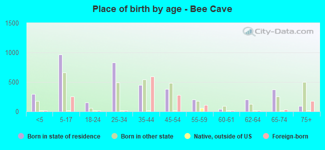 Place of birth by age -  Bee Cave