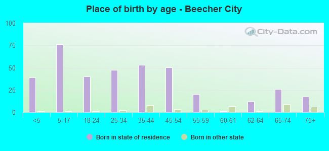 Place of birth by age -  Beecher City