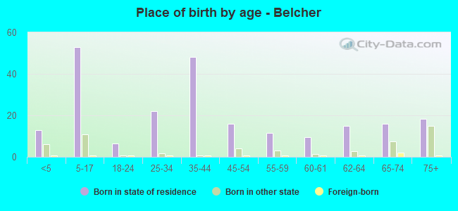 Place of birth by age -  Belcher