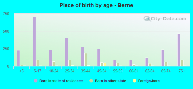Place of birth by age -  Berne