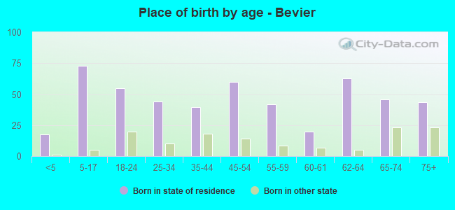 Place of birth by age -  Bevier