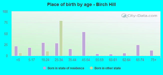 Place of birth by age -  Birch Hill