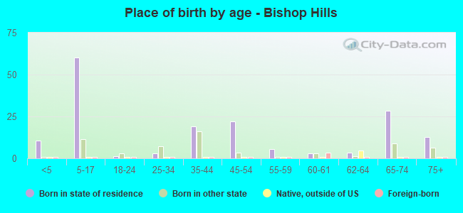 Place of birth by age -  Bishop Hills