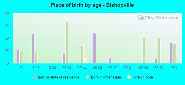 Place of birth by age -  Bishopville