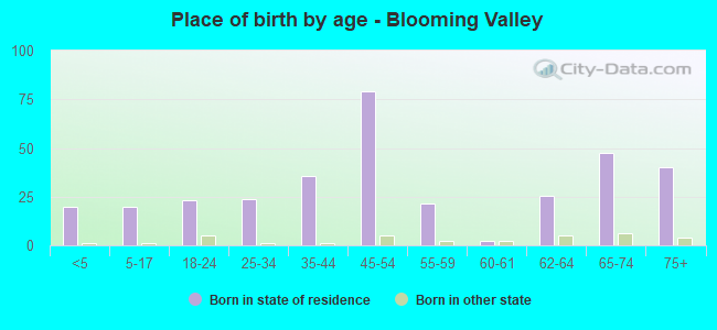 Place of birth by age -  Blooming Valley