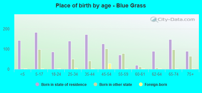 Place of birth by age -  Blue Grass