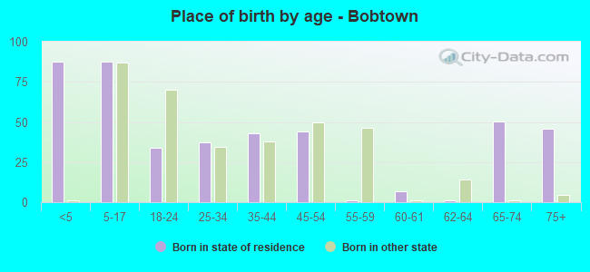 Place of birth by age -  Bobtown