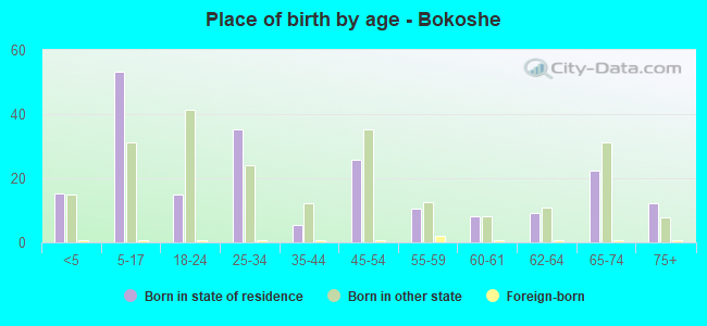 Place of birth by age -  Bokoshe