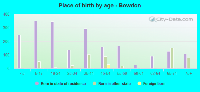 Place of birth by age -  Bowdon