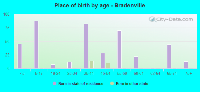 Place of birth by age -  Bradenville