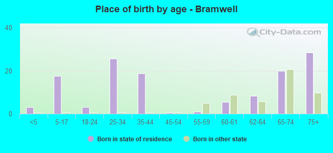 Place of birth by age -  Bramwell