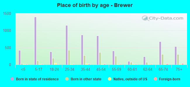Place of birth by age -  Brewer