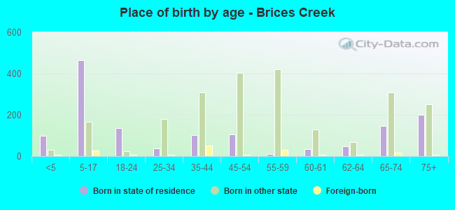 Place of birth by age -  Brices Creek