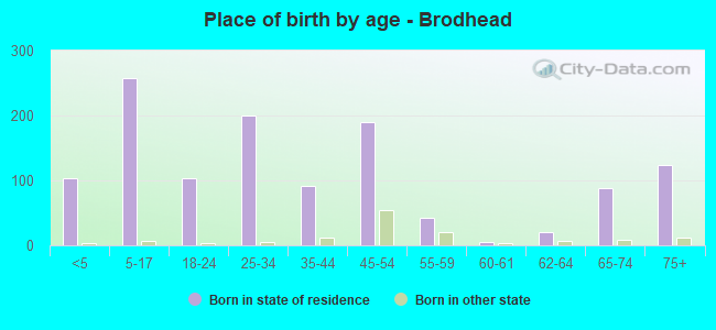 Place of birth by age -  Brodhead