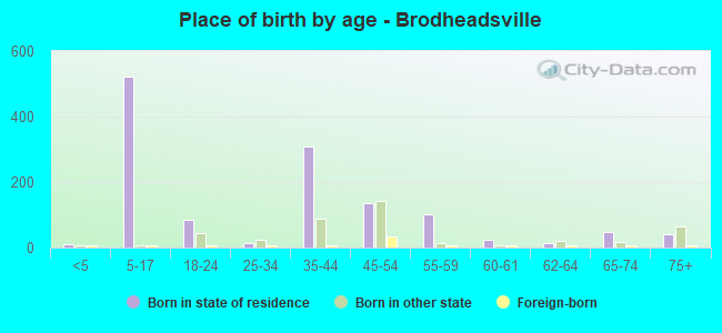 Place of birth by age -  Brodheadsville