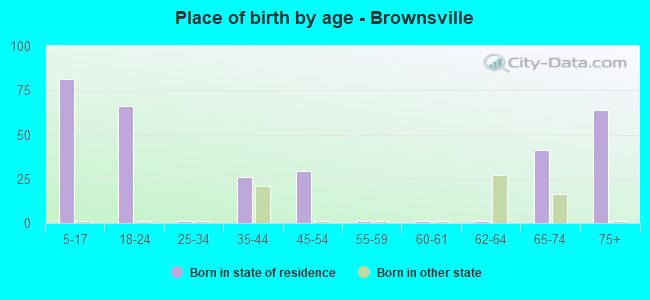 Place of birth by age -  Brownsville