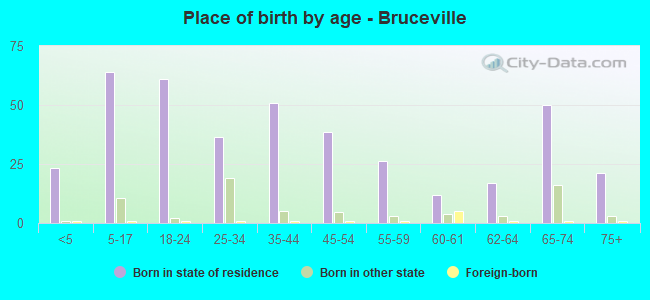 Place of birth by age -  Bruceville
