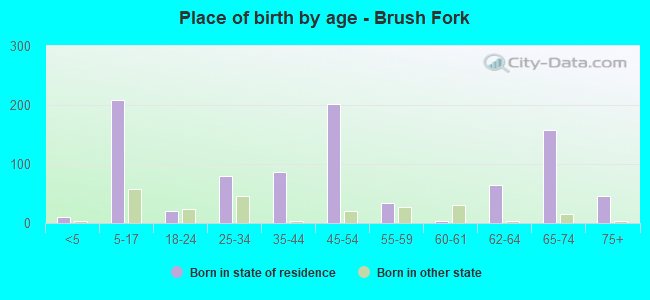 Place of birth by age -  Brush Fork