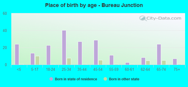 Place of birth by age -  Bureau Junction