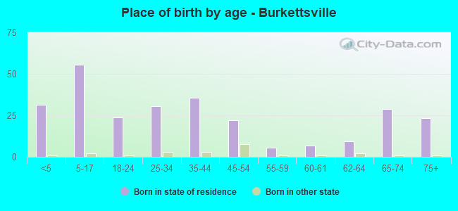 Place of birth by age -  Burkettsville