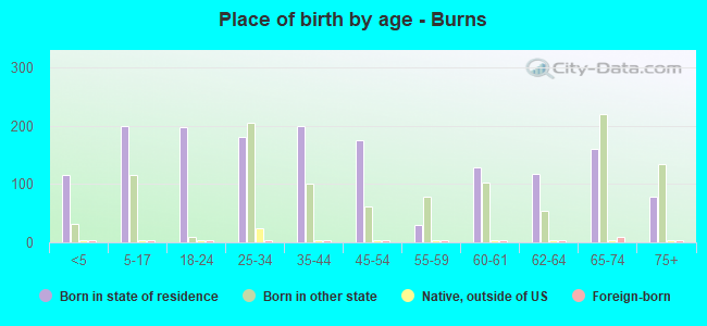 Place of birth by age -  Burns