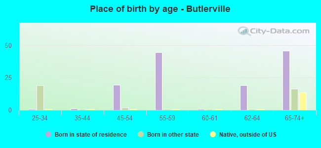 Place of birth by age -  Butlerville
