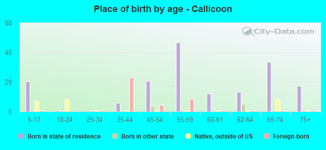 Place of birth by age -  Callicoon