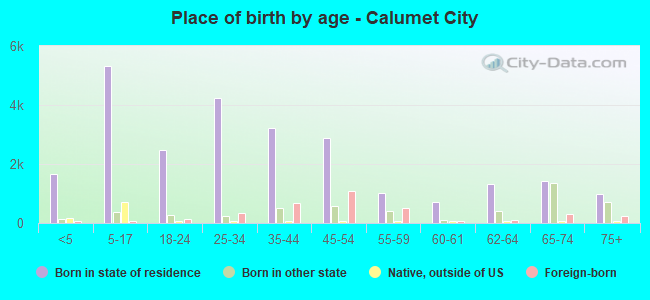 Place of birth by age -  Calumet City