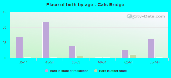 Place of birth by age -  Cats Bridge