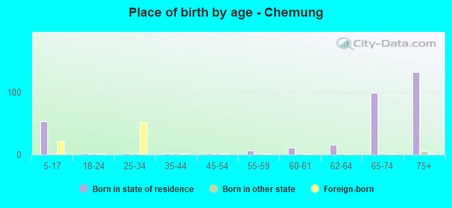 Place of birth by age -  Chemung