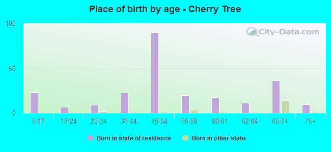 Place of birth by age -  Cherry Tree