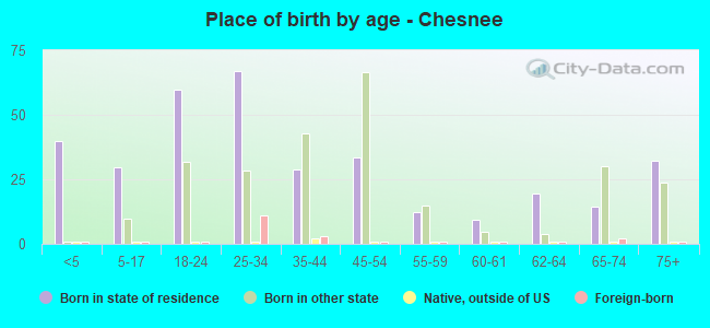 Place of birth by age -  Chesnee